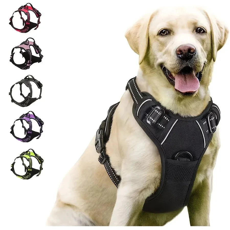 Dog Collar & Harness Set – Leash & Puppy Accessories