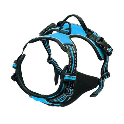 Dog Collar & Harness Set – Leash & Puppy Accessories