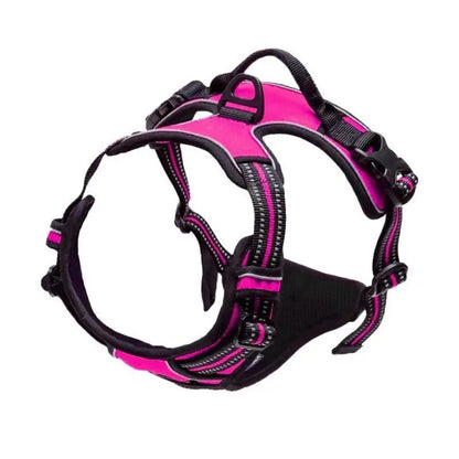 Dog Collar & Harness Set – Leash & Puppy Accessories