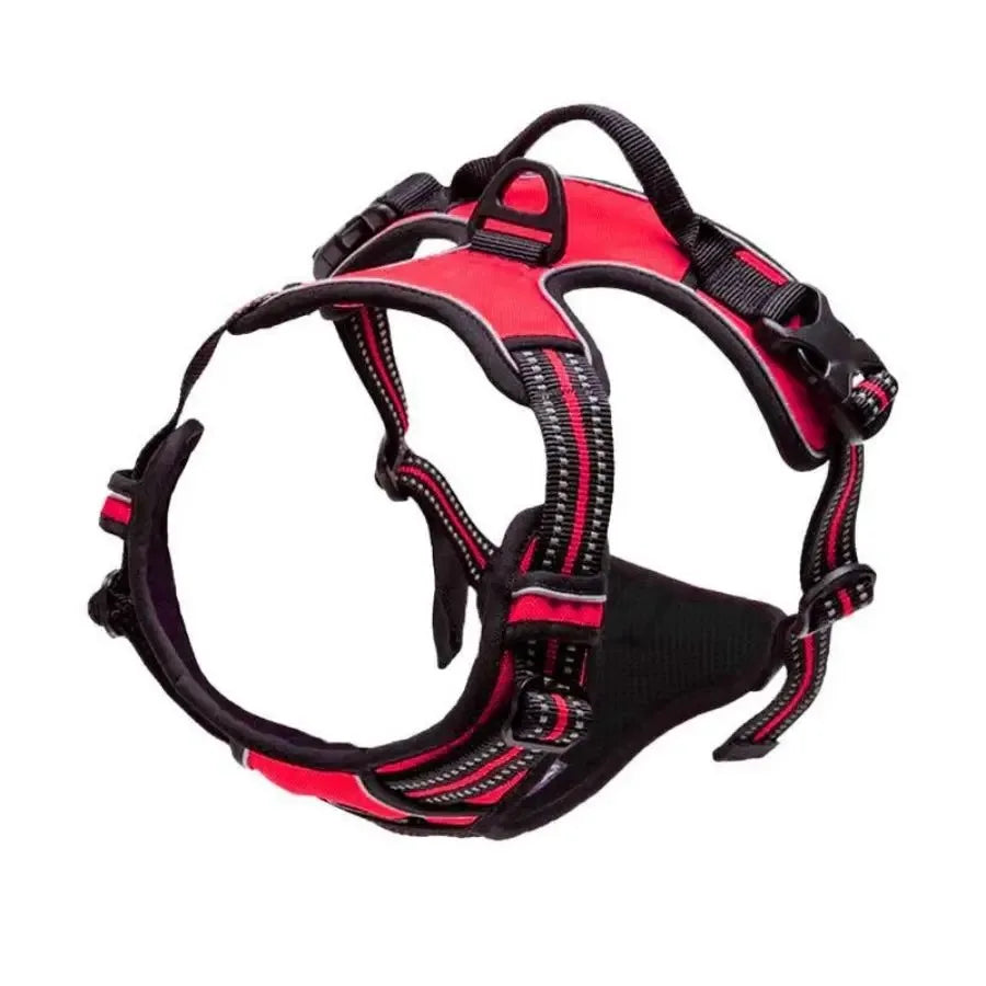 Dog Collar & Harness Set – Leash & Puppy Accessories