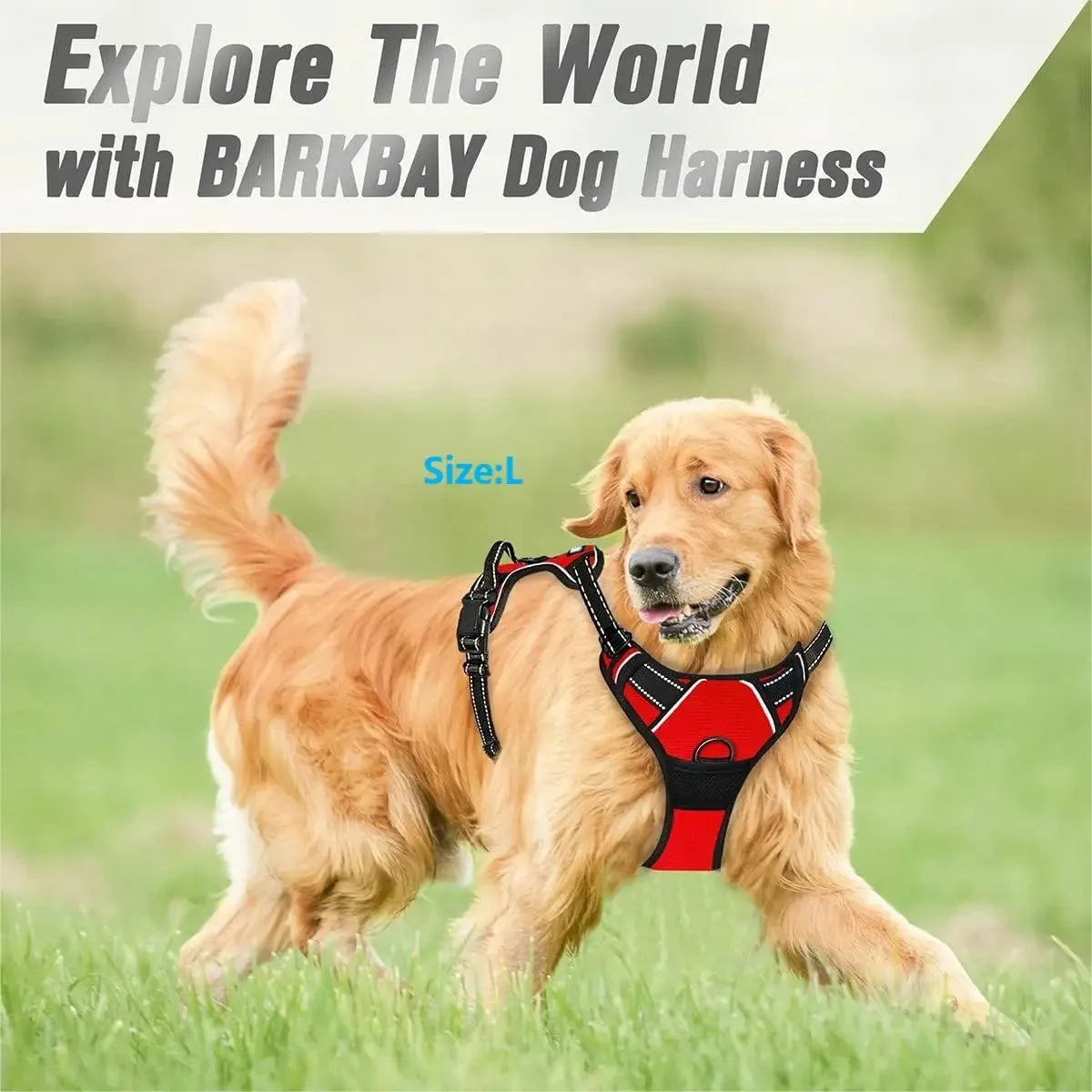 Dog Collar & Harness Set – Leash & Puppy Accessories
