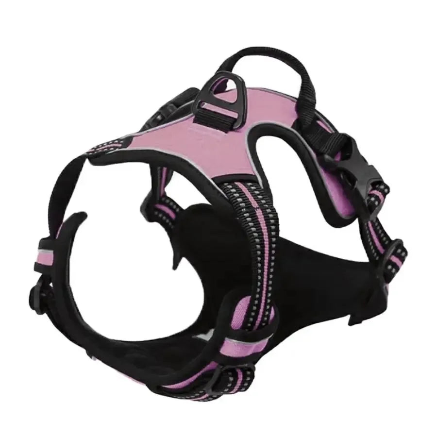 Dog Collar & Harness Set – Leash & Puppy Accessories