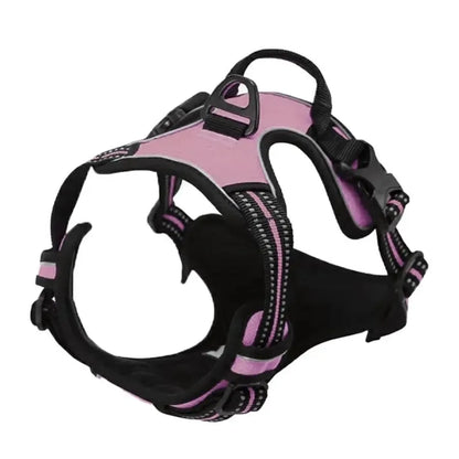 Dog Collar & Harness Set – Leash & Puppy Accessories
