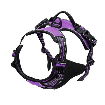 Dog Collar & Harness Set – Leash & Puppy Accessories