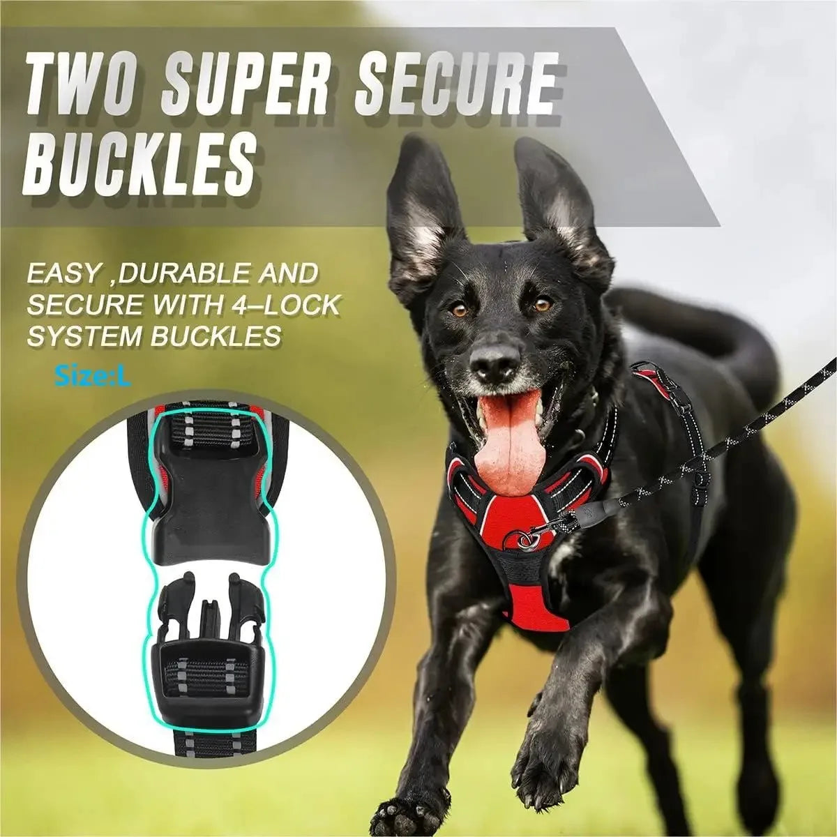 Dog Collar & Harness Set – Leash & Puppy Accessories