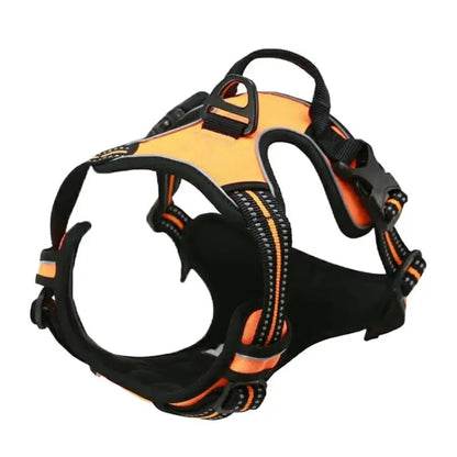 Dog Collar & Harness Set – Leash & Puppy Accessories