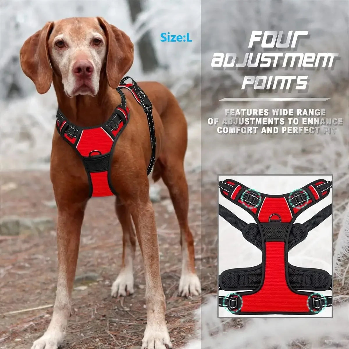Dog Collar & Harness Set – Leash & Puppy Accessories