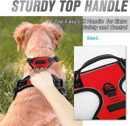 Dog Collar & Harness Set – Leash & Puppy Accessories