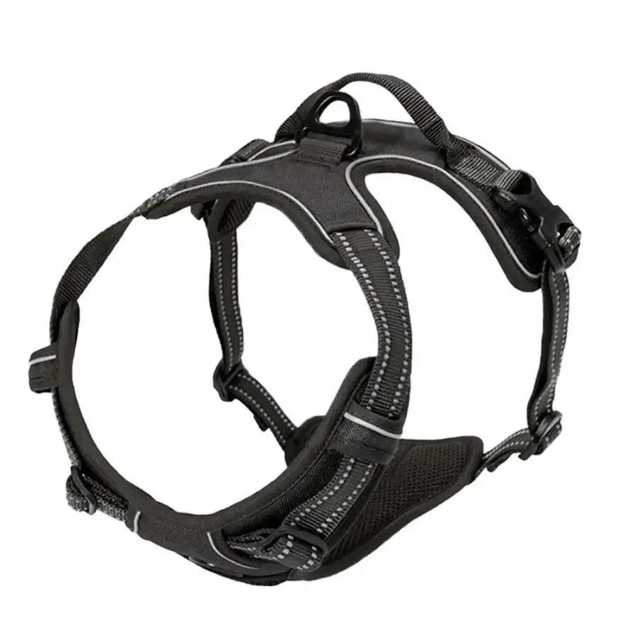 Dog Collar & Harness Set – Leash & Puppy Accessories